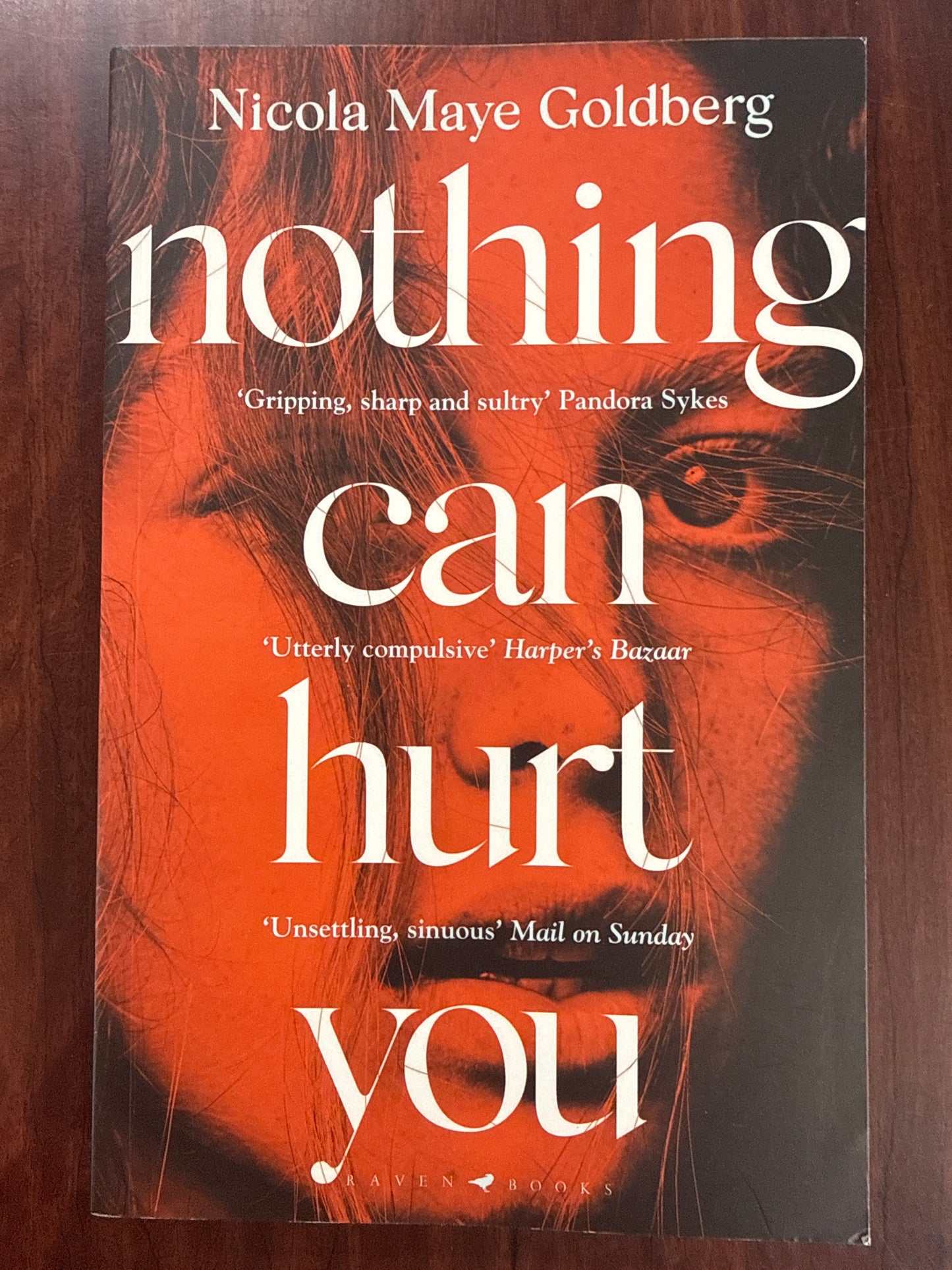 Nothing Can Hurt You: 'A gothic Olive Kitteridge mixed with Gillian Flynn' Vogue