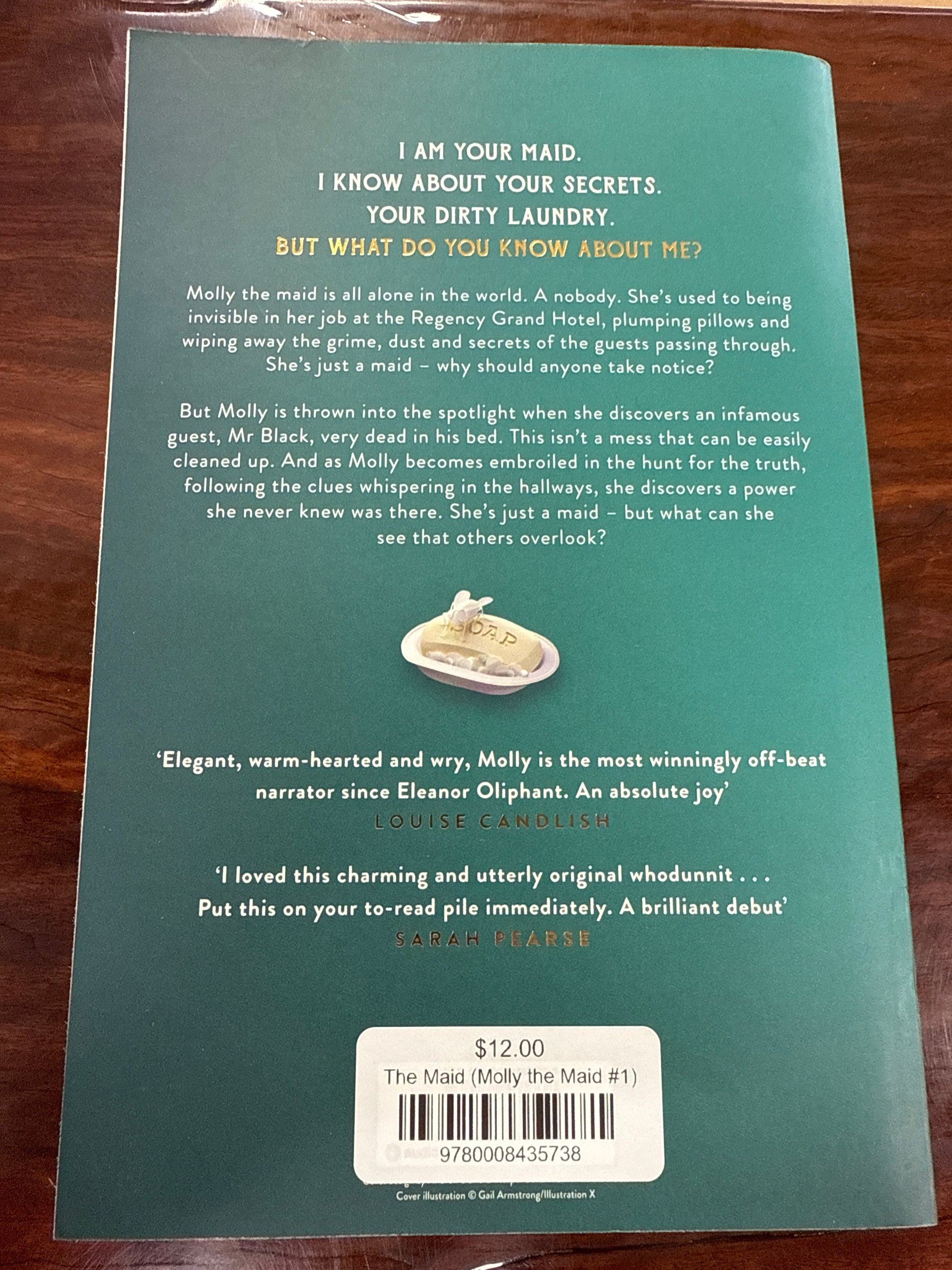 The Maid (Molly the Maid #1)