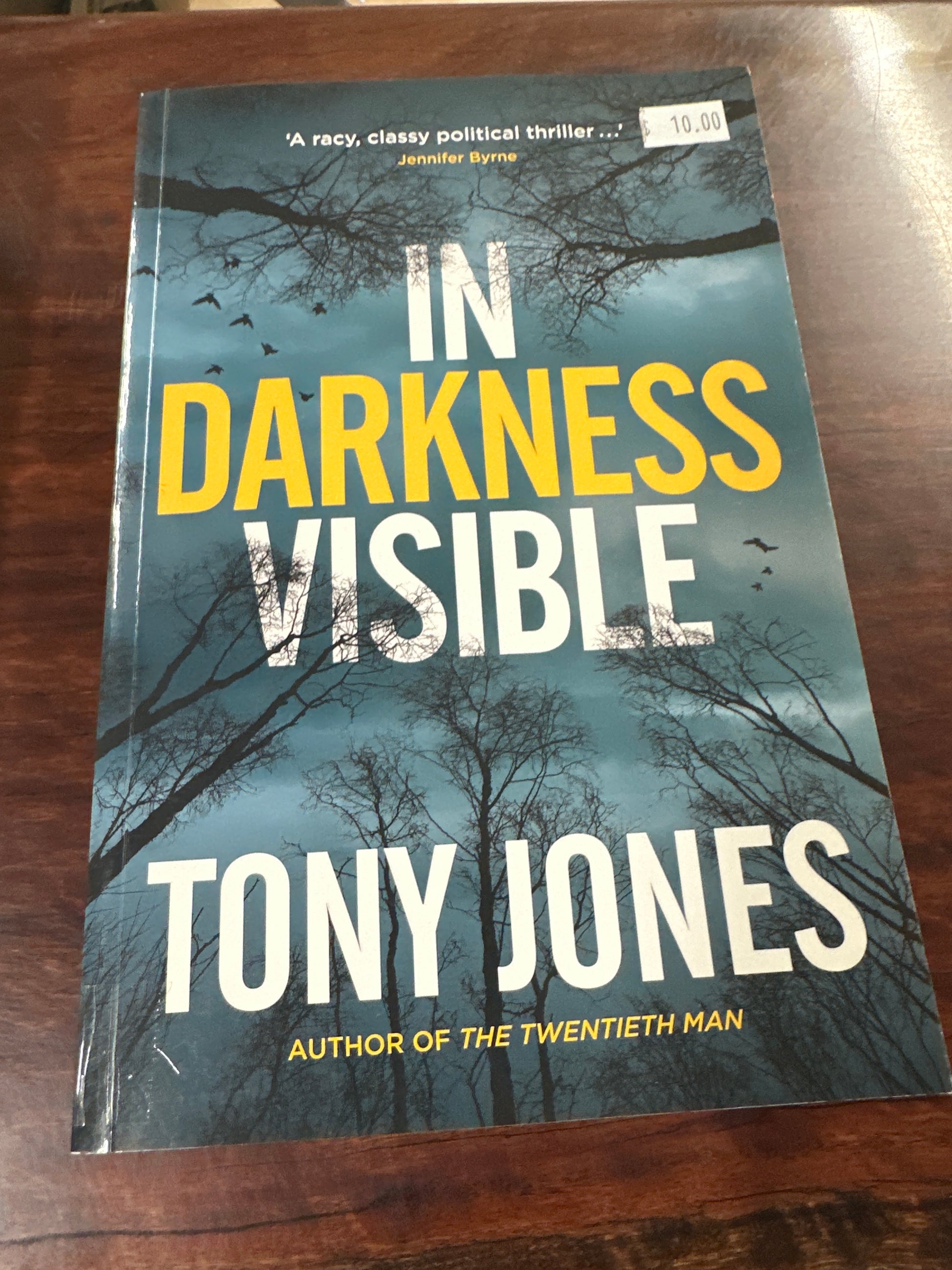 In Darkness Visible