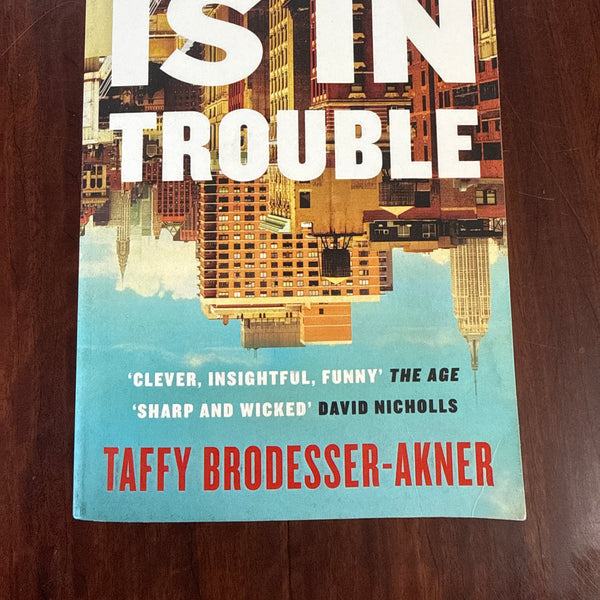 Fleishman is in Trouble