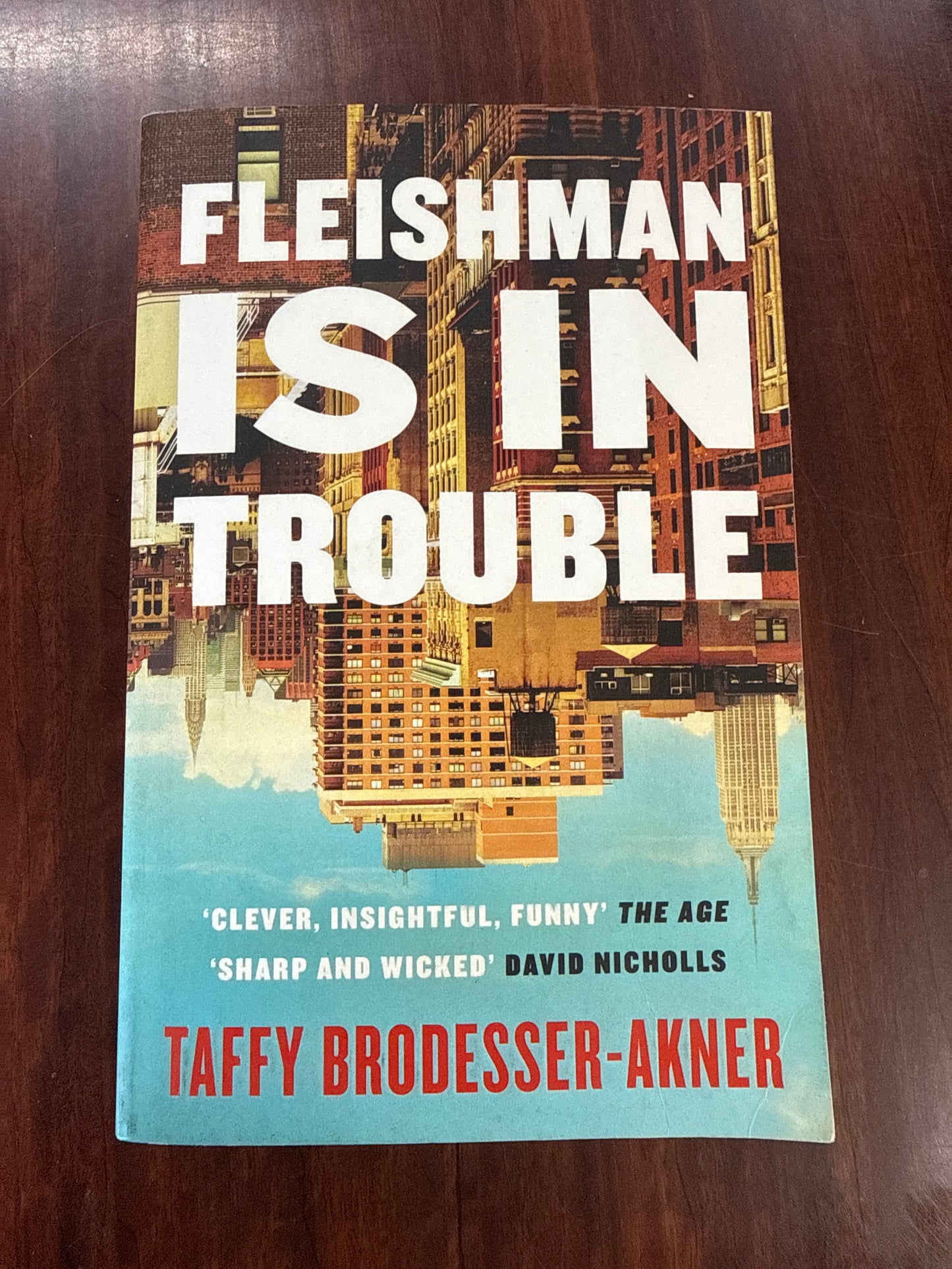 Fleishman is in Trouble