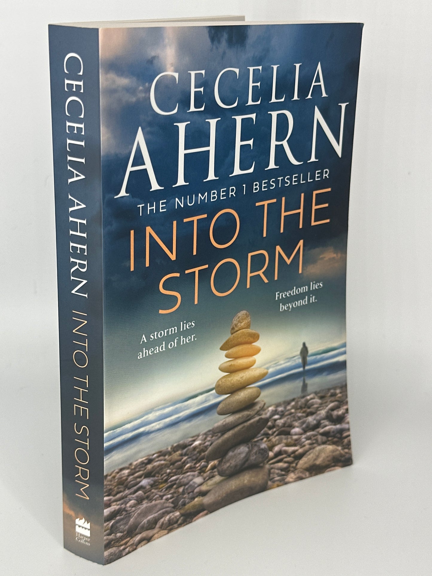 Cecelia Ahern Into The Storm Actual Spine used books