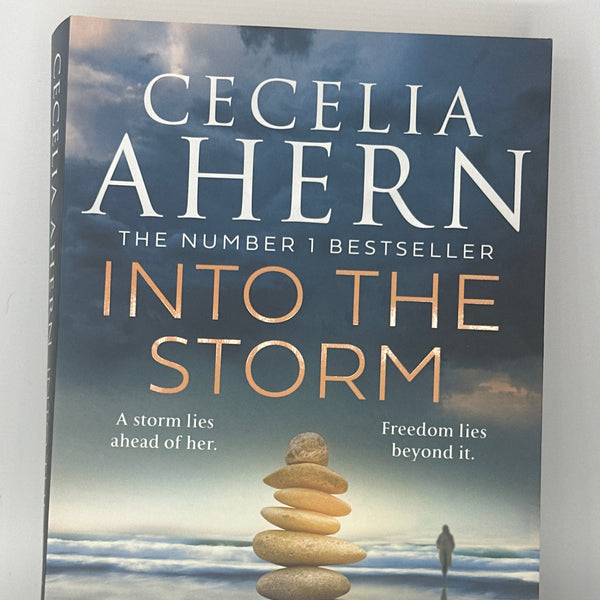 Cecelia Ahern Into The Storm Actual front cover used books