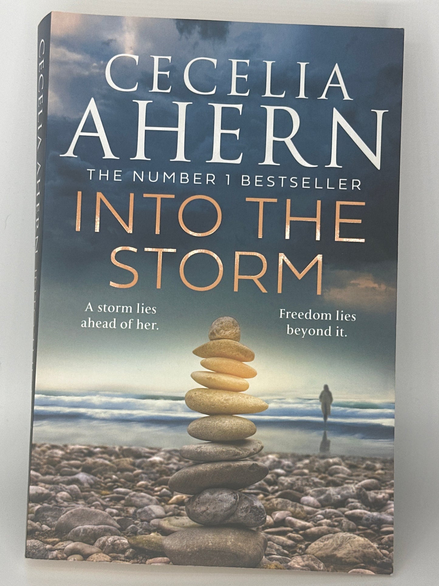Cecelia Ahern Into The Storm Actual front cover used books