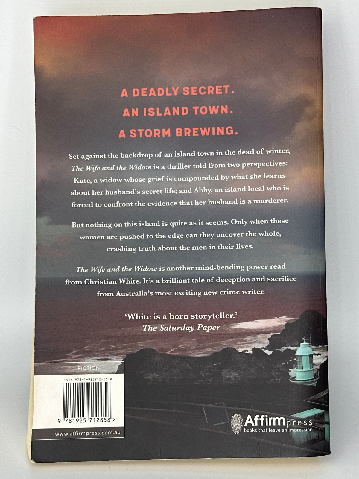 Christian White The Wife and the Widow actual back cover used books