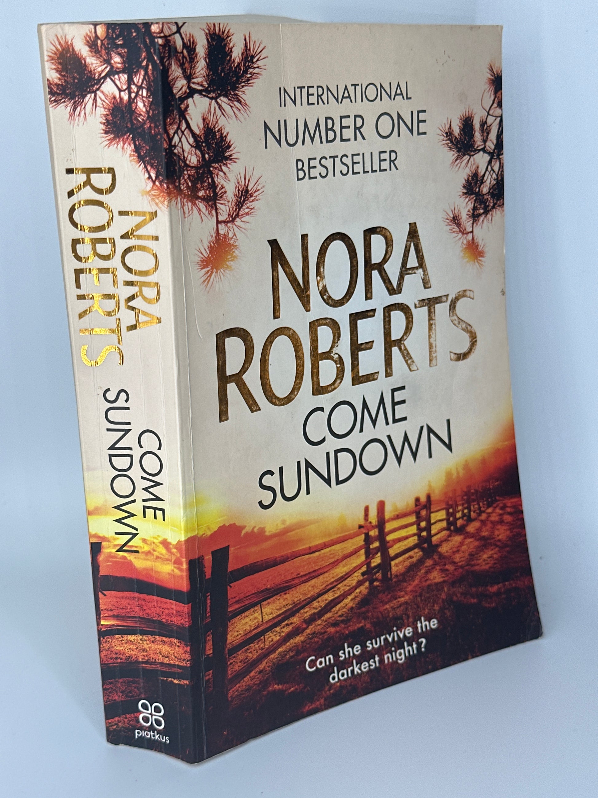 Nora Roberts Come Sundown cover used books