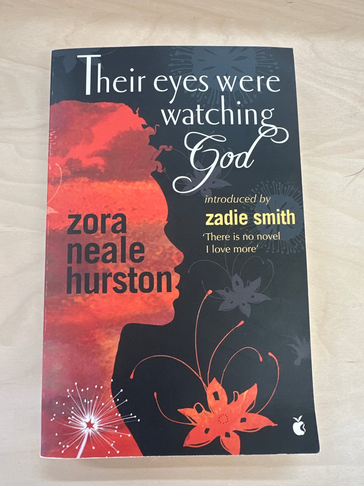 Their Eyes Were Watching God (Virago modern classic)