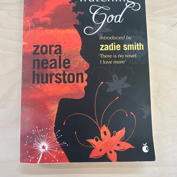 Their Eyes Were Watching God (Virago modern classic)