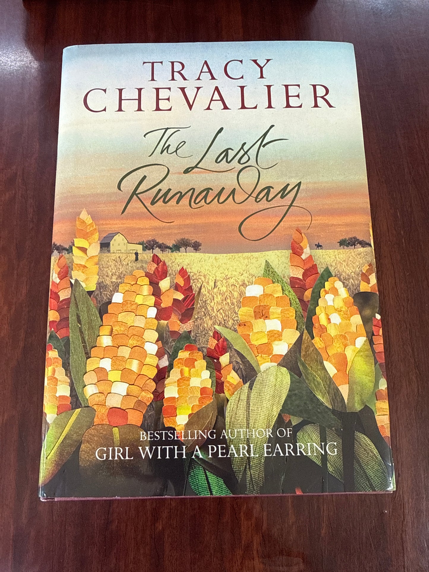 The Last Runaway (Hardcover)