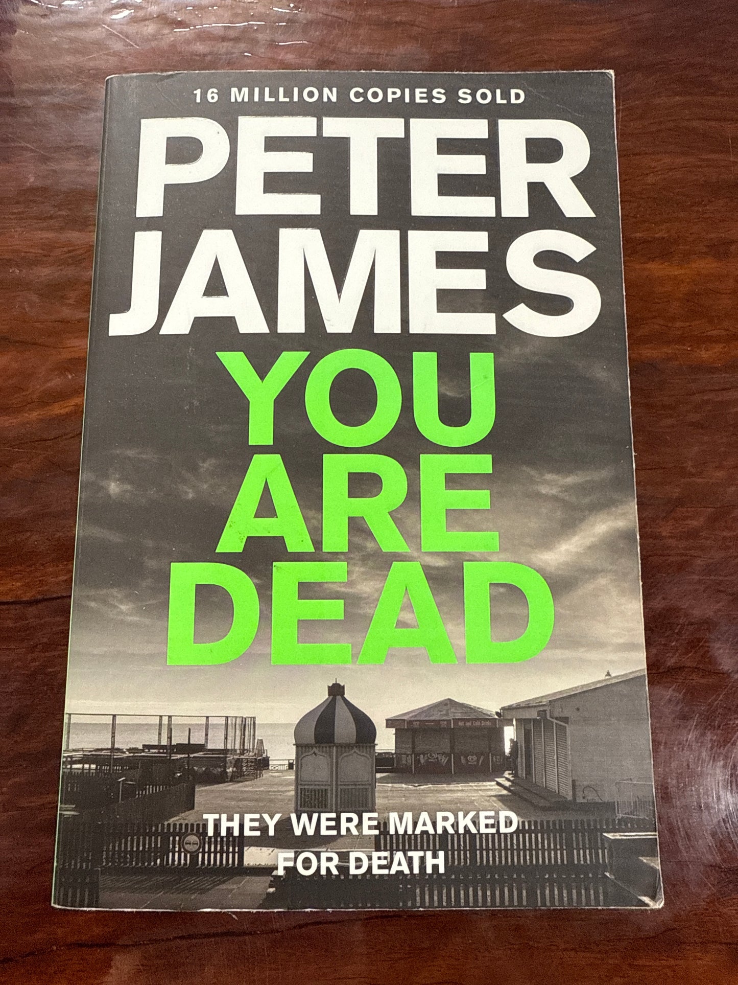 You Are Dead (Roy Grace #11)