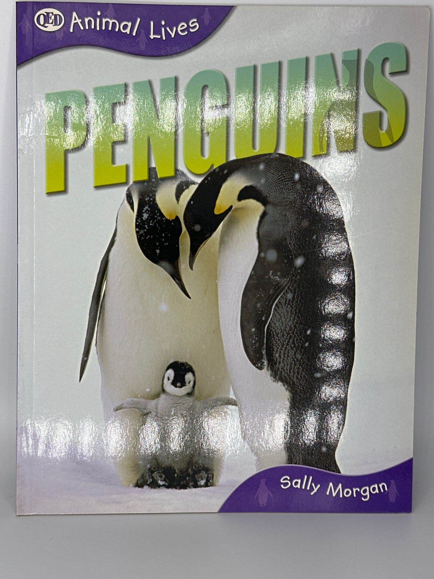 Animal Lives Bundle (7 Books)