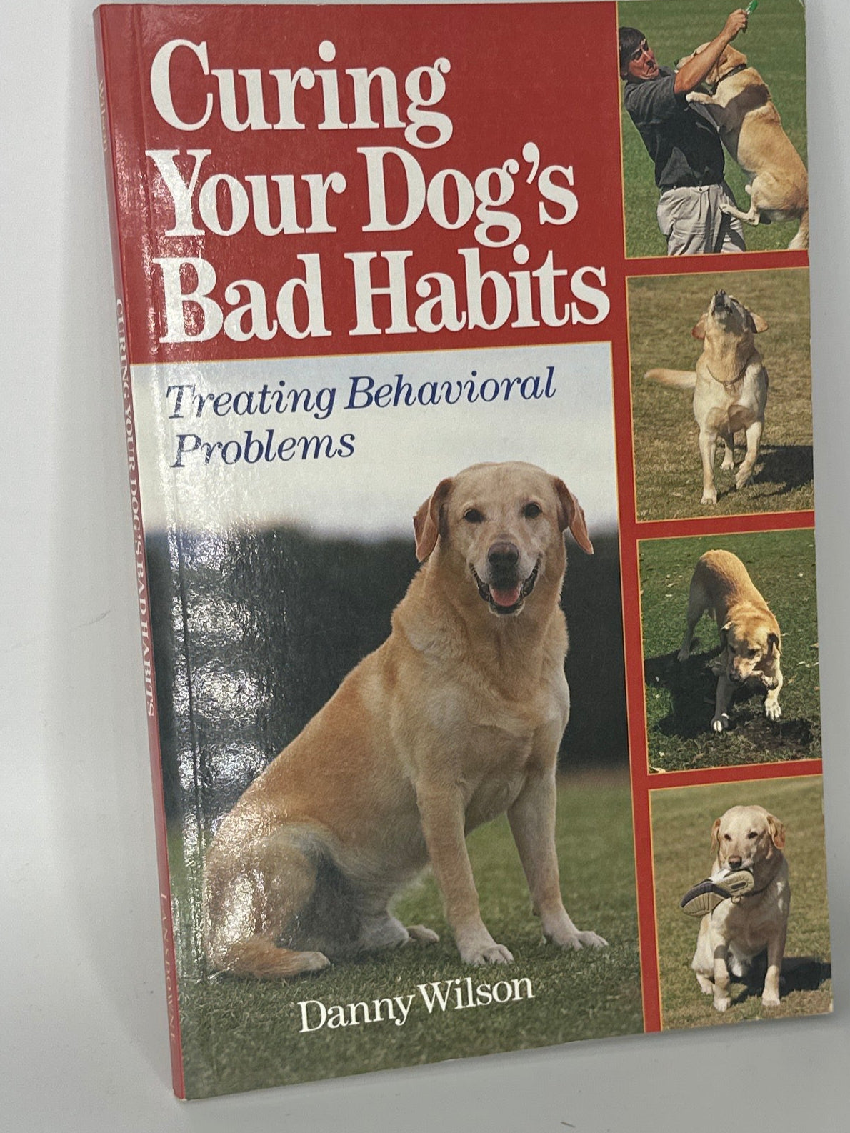 Danny Wilson Curing Your Dog's Bad Habits : Treating Behavioral Problems actual front cover used books