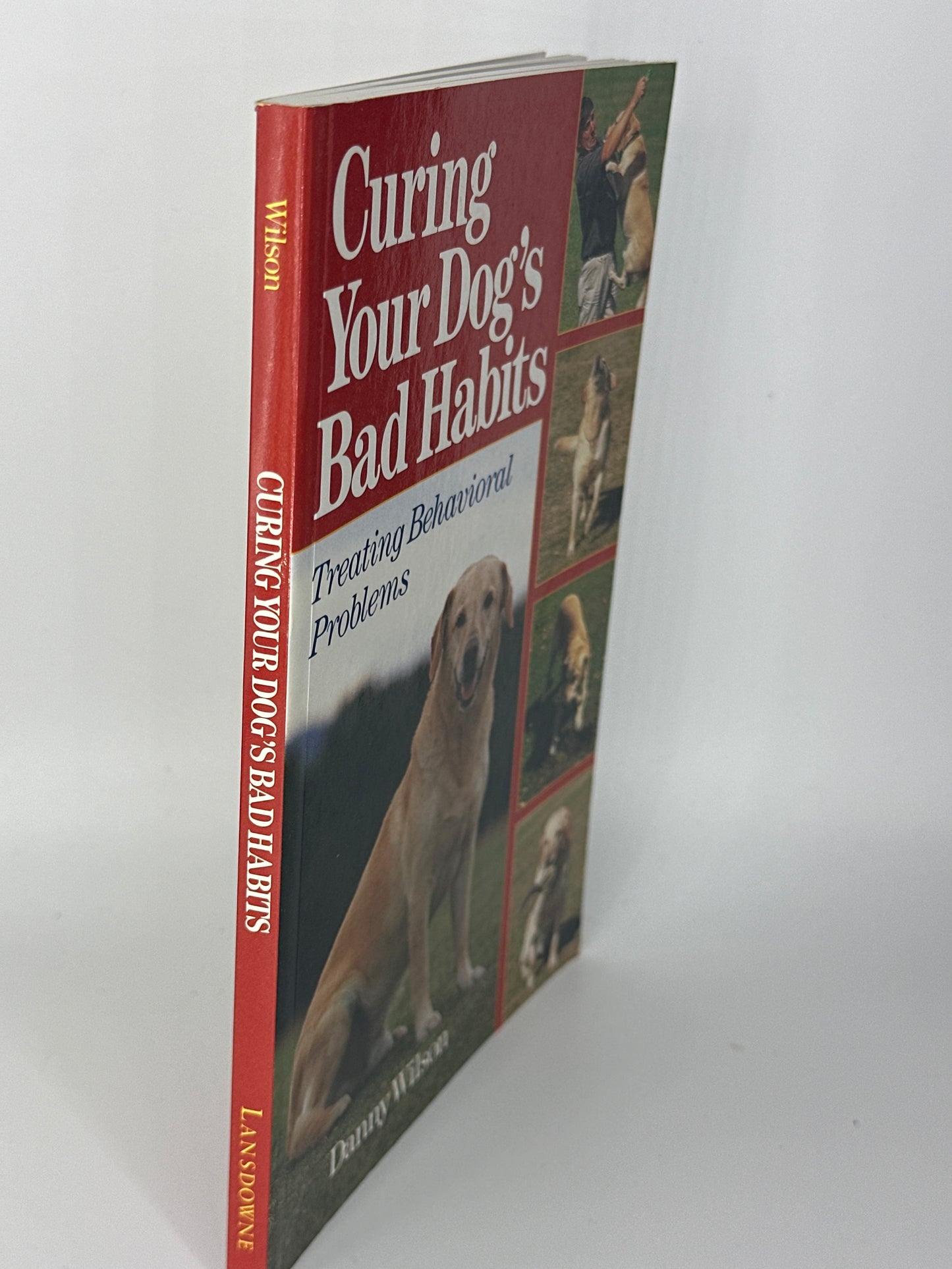 Danny Wilson Curing Your Dog's Bad Habits : Treating Behavioral Problems actual spine used books