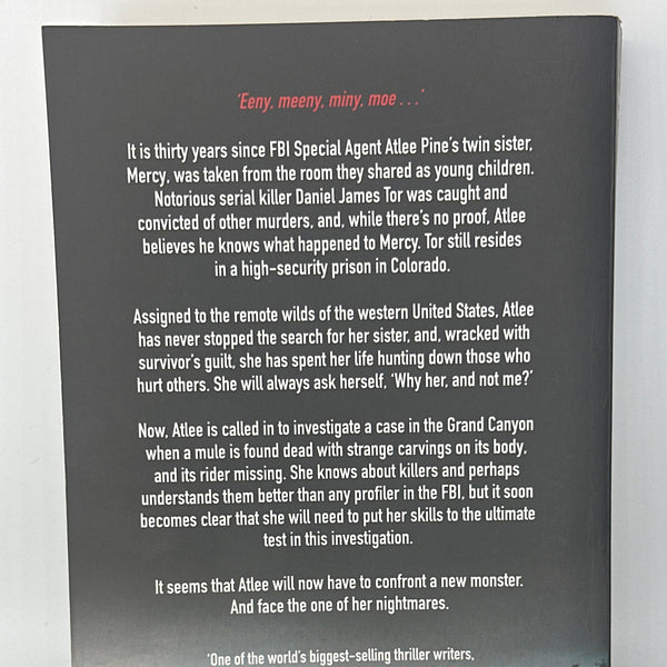 David Baldacci Long Road to Mercy Actual back cover used books