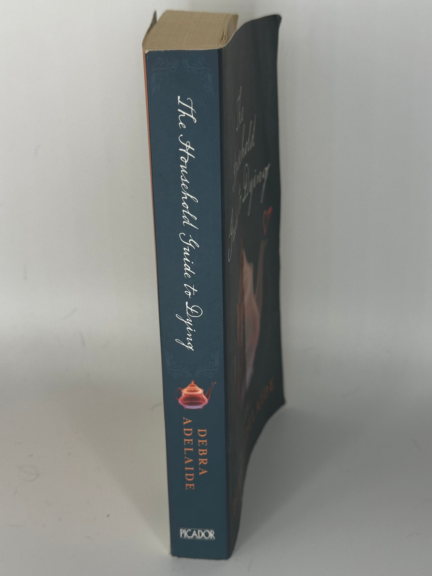 Debra Adelaide The Household Guide to Dying actual spine used books