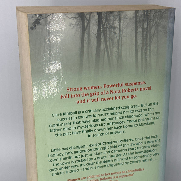 Nora Roberts Divine Evil back cover used books