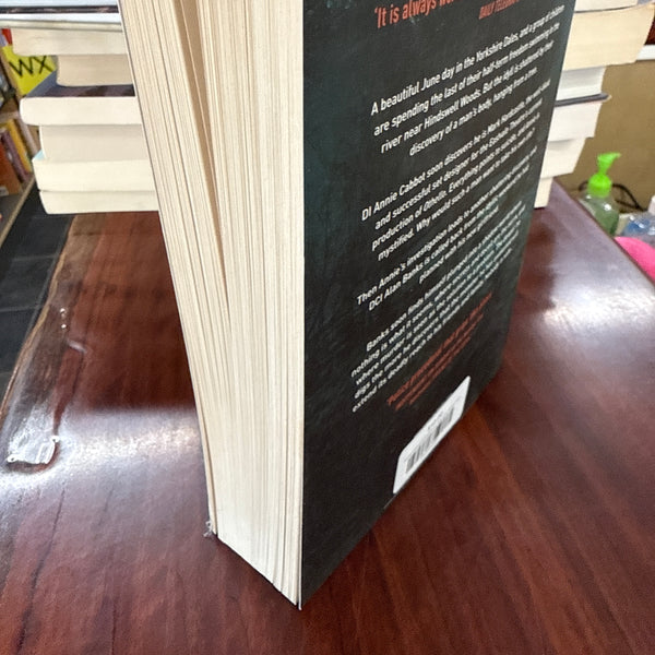 All the Colours of Darkness (Inspector Banks #18)