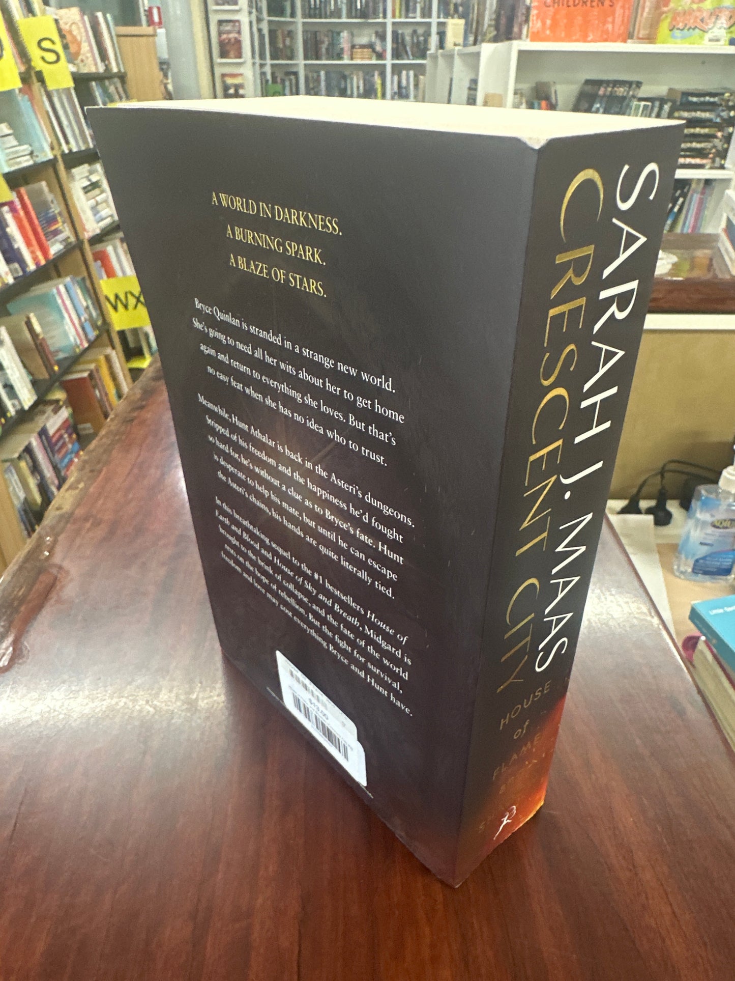 House of Flame and Shadow (Crescent City #3)