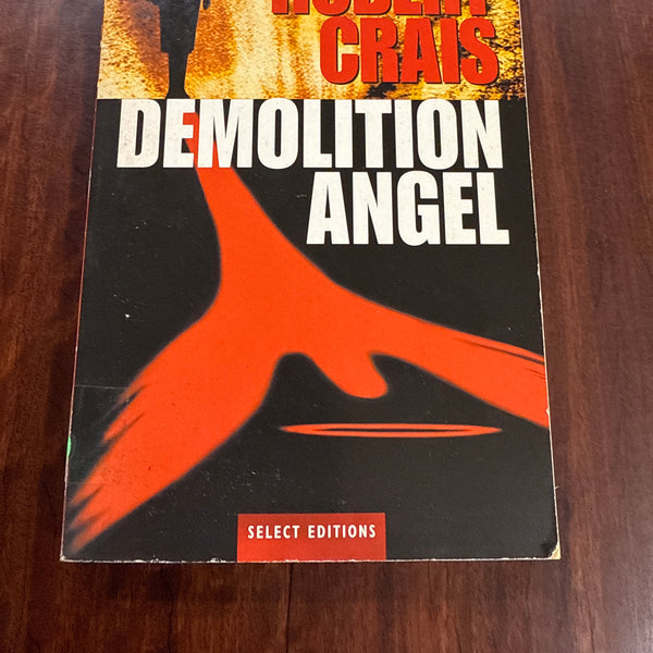 Demolition Angel