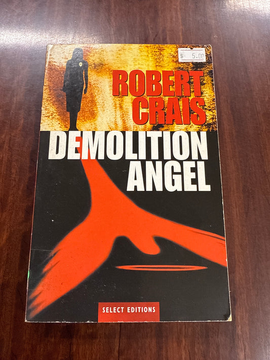 Demolition Angel
