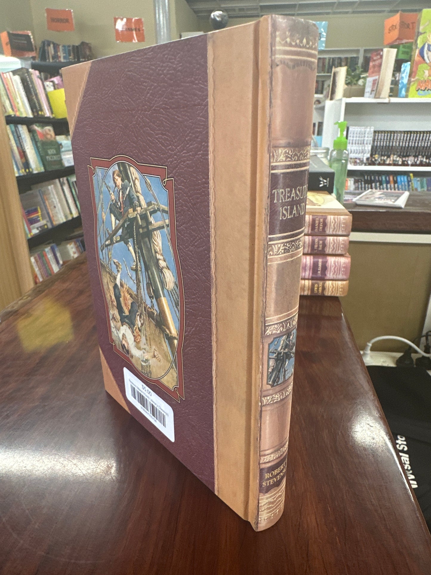 Treasure Island (Youth Literary Classics)