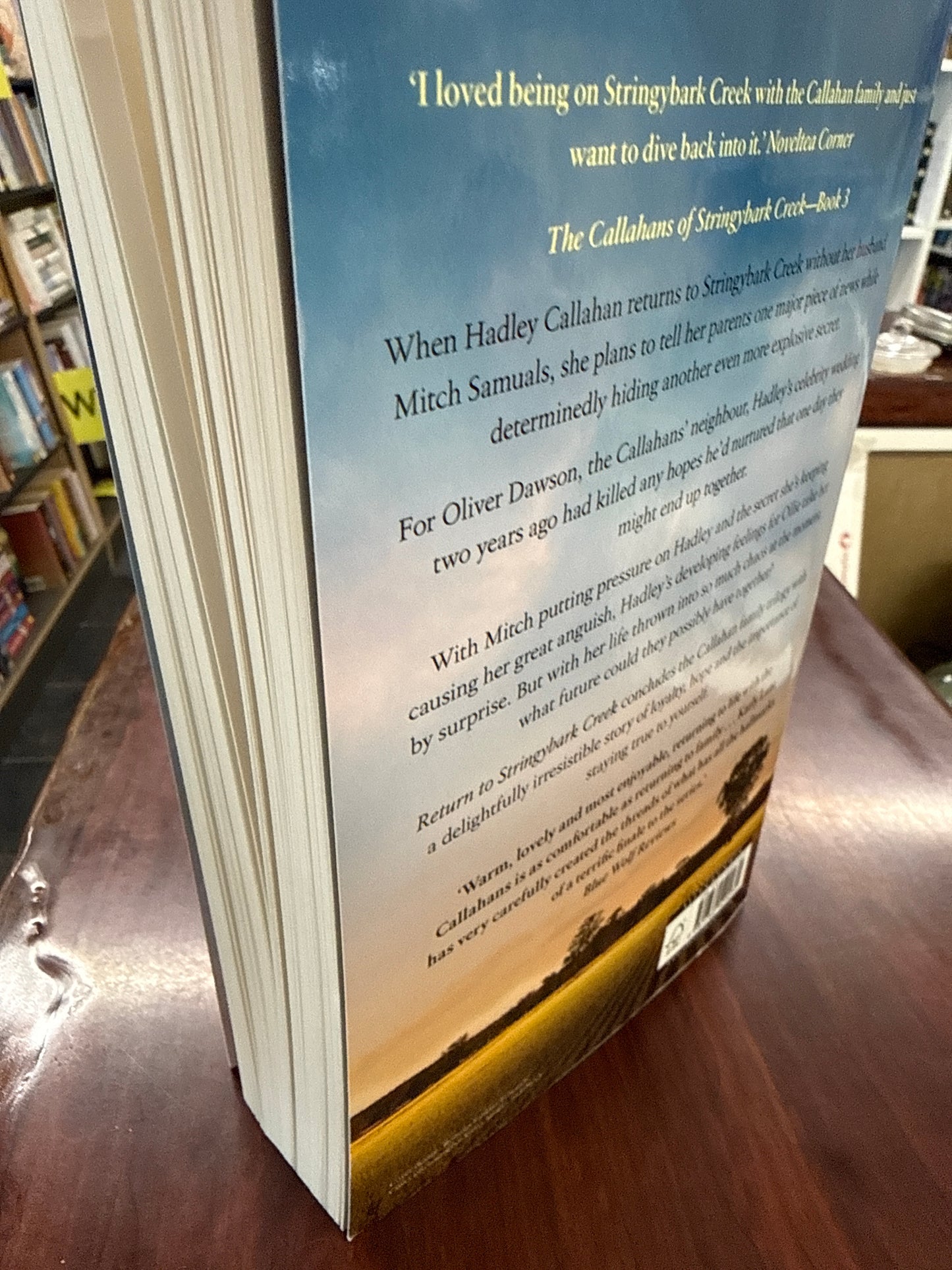 Return to Stringybark Creek