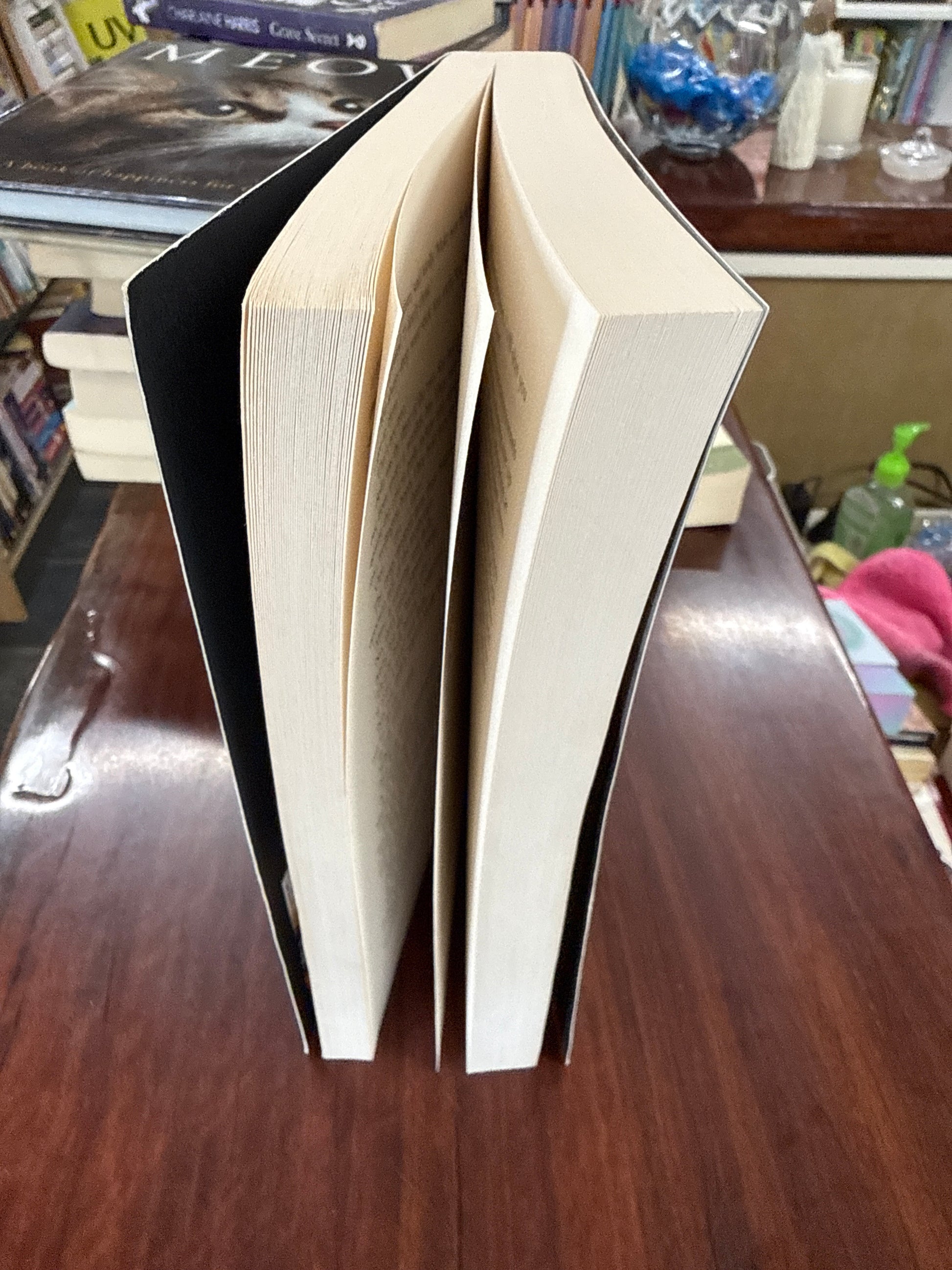 When She Was Good (Cyrus Haven #2)