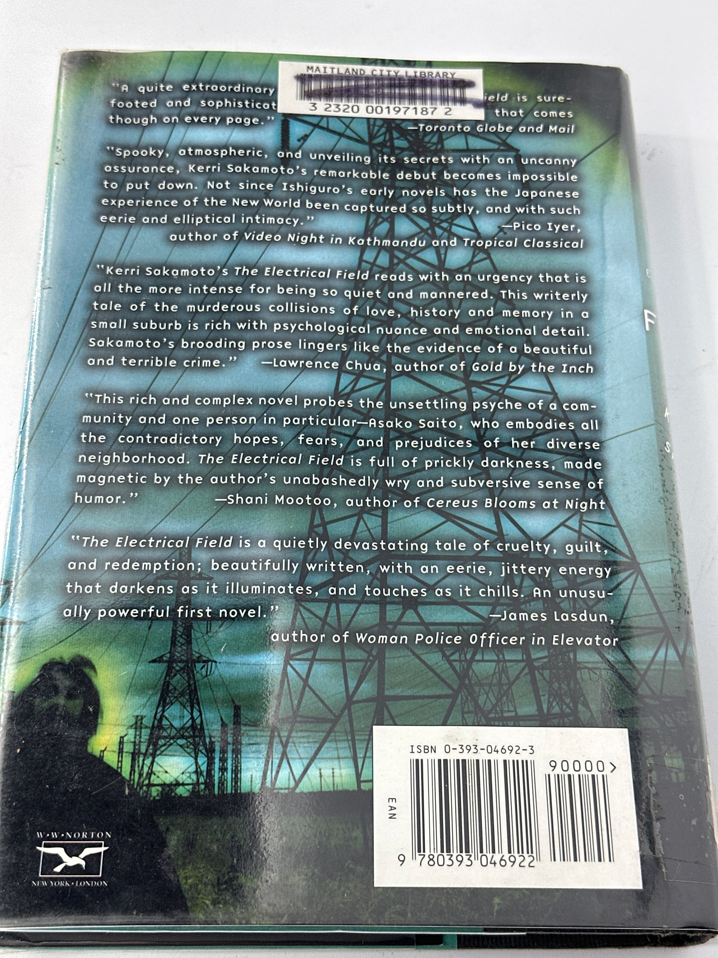 The Electrical Field (Hardcover)