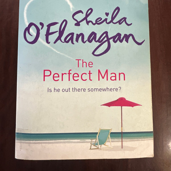 The Perfect Man