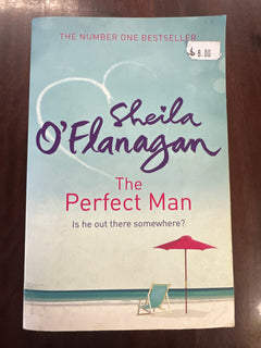 The Perfect Man