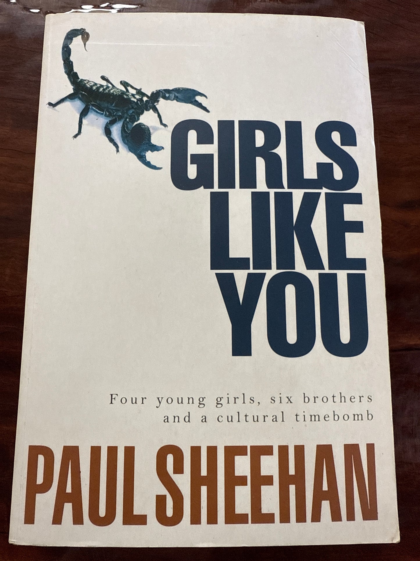 Girls Like You: Four Young Girls, Six Brothers and a Cultural Timebomb