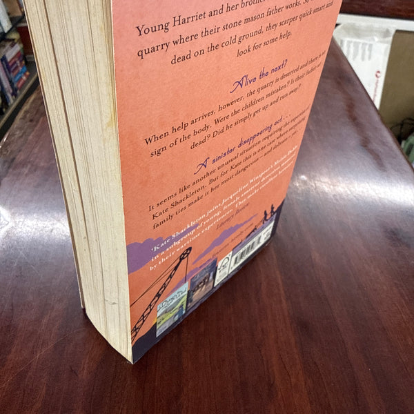 Murder In The Afternoon (Kate Shackleton #3)