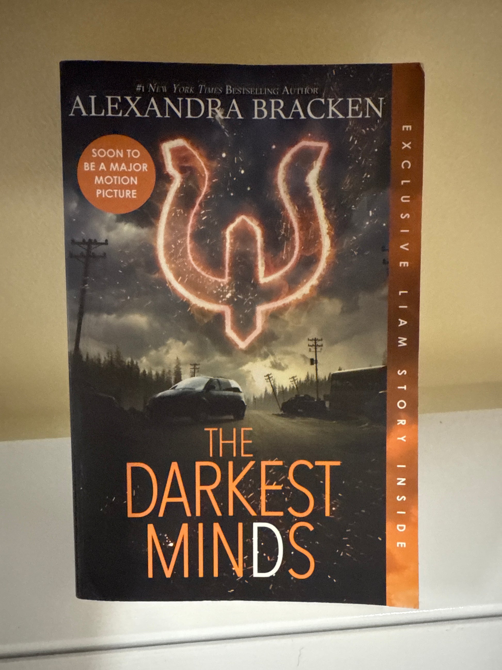 The Darkest Minds (The Darkest Minds, #1)