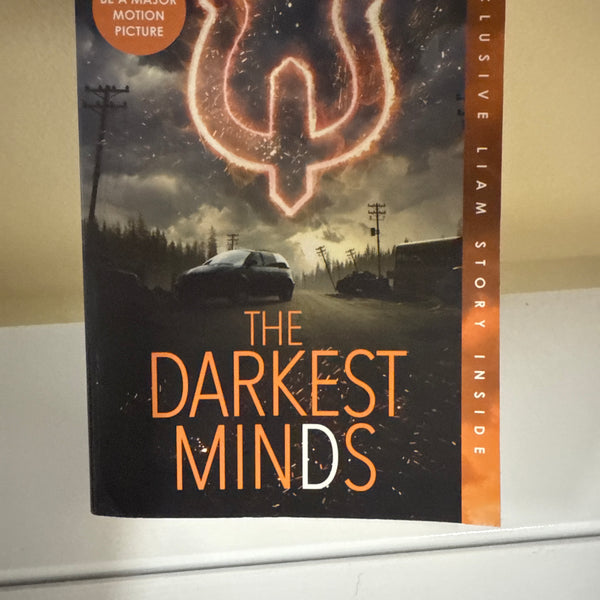 The Darkest Minds (The Darkest Minds, #1)