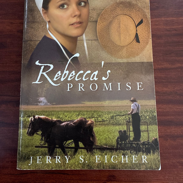 Rebecca's Promise