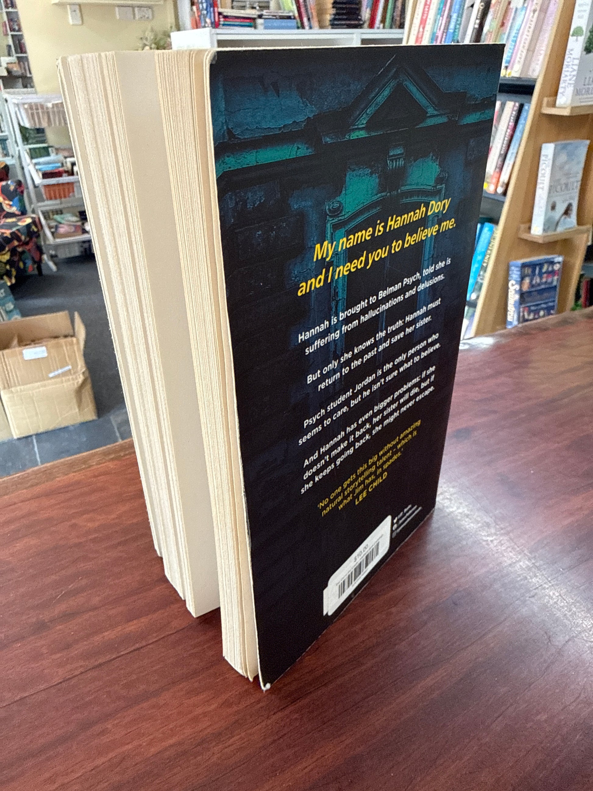 The Girl in the Castle