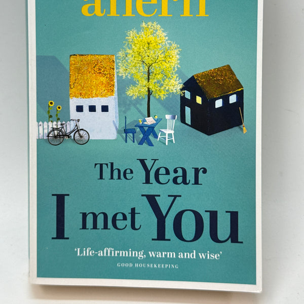 The Year I Met You