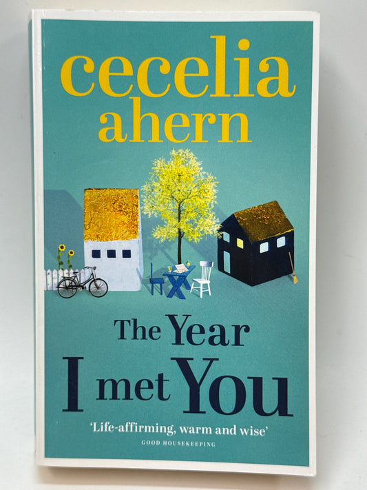 The Year I Met You