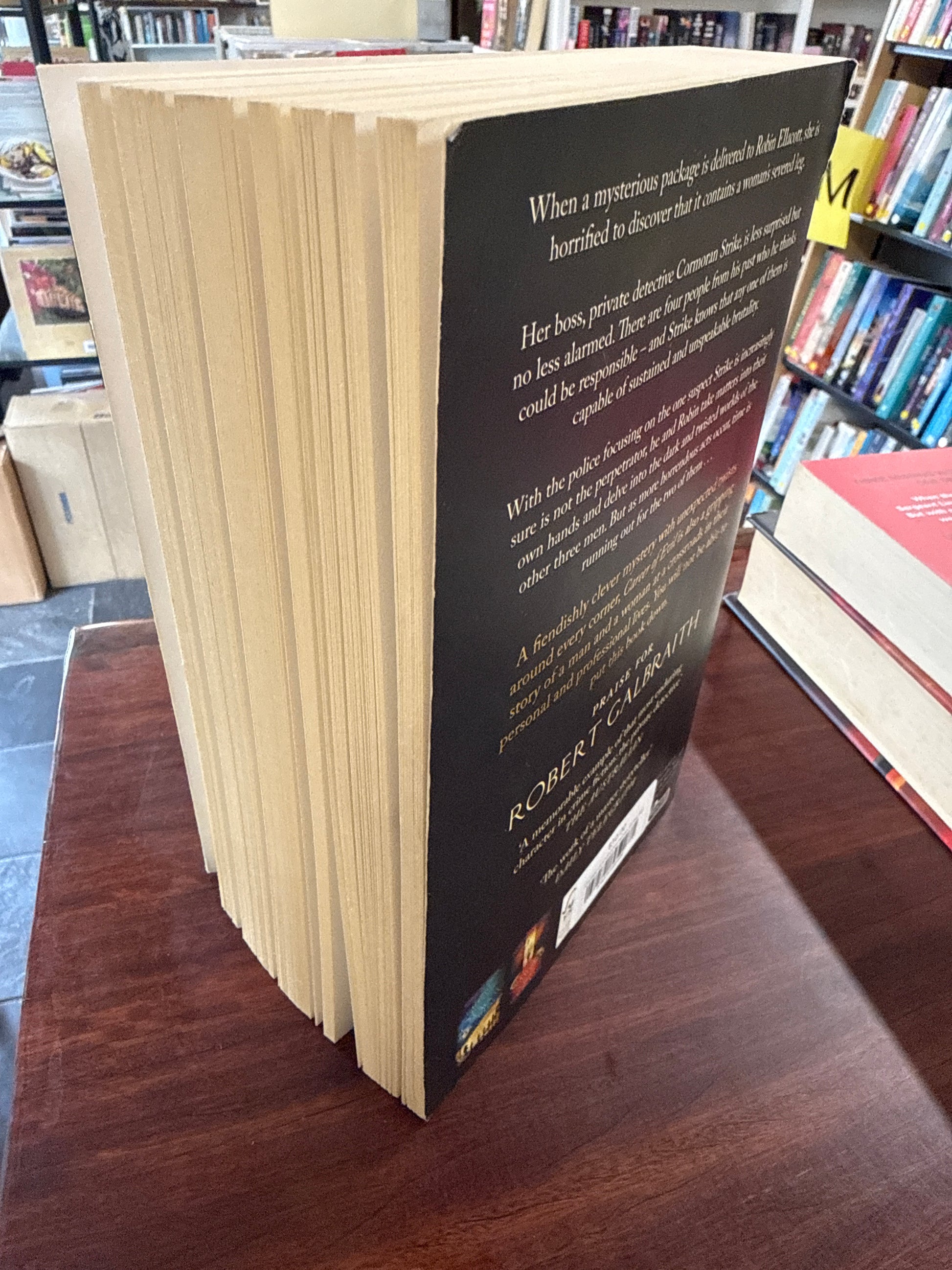 Career of Evil (Cormoran Strike #3)