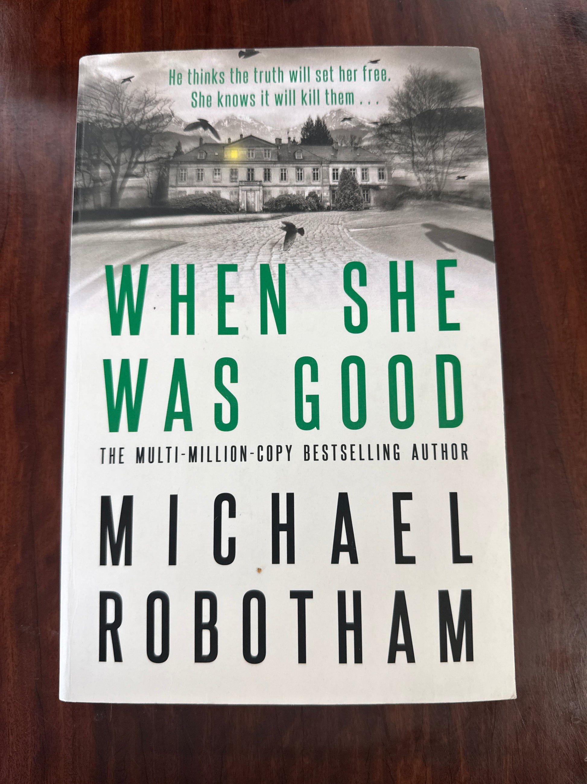 When She Was Good (Cyrus Haven #2)