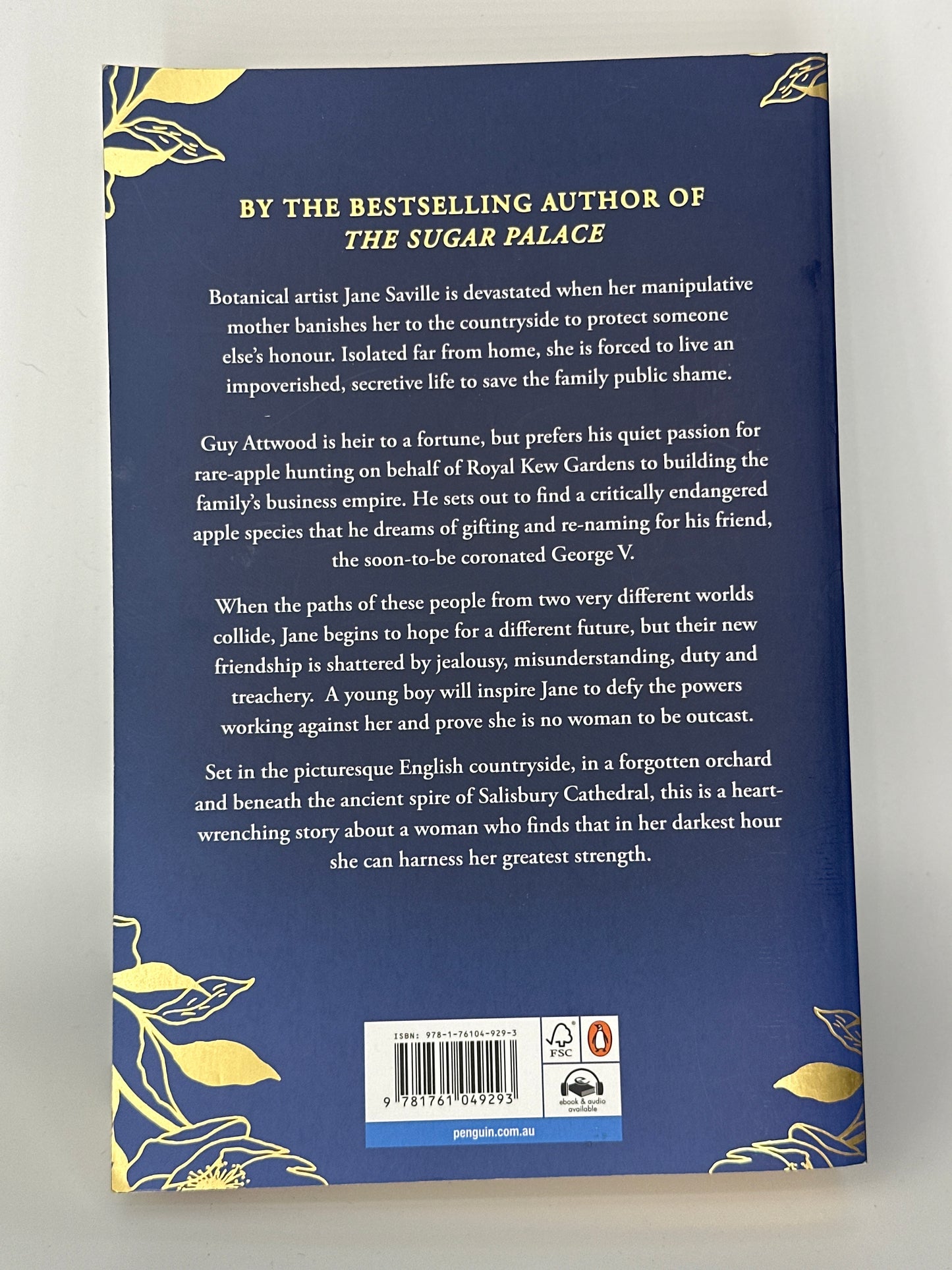 Fiona McIntosh The Fallen Woman actual back cover used books