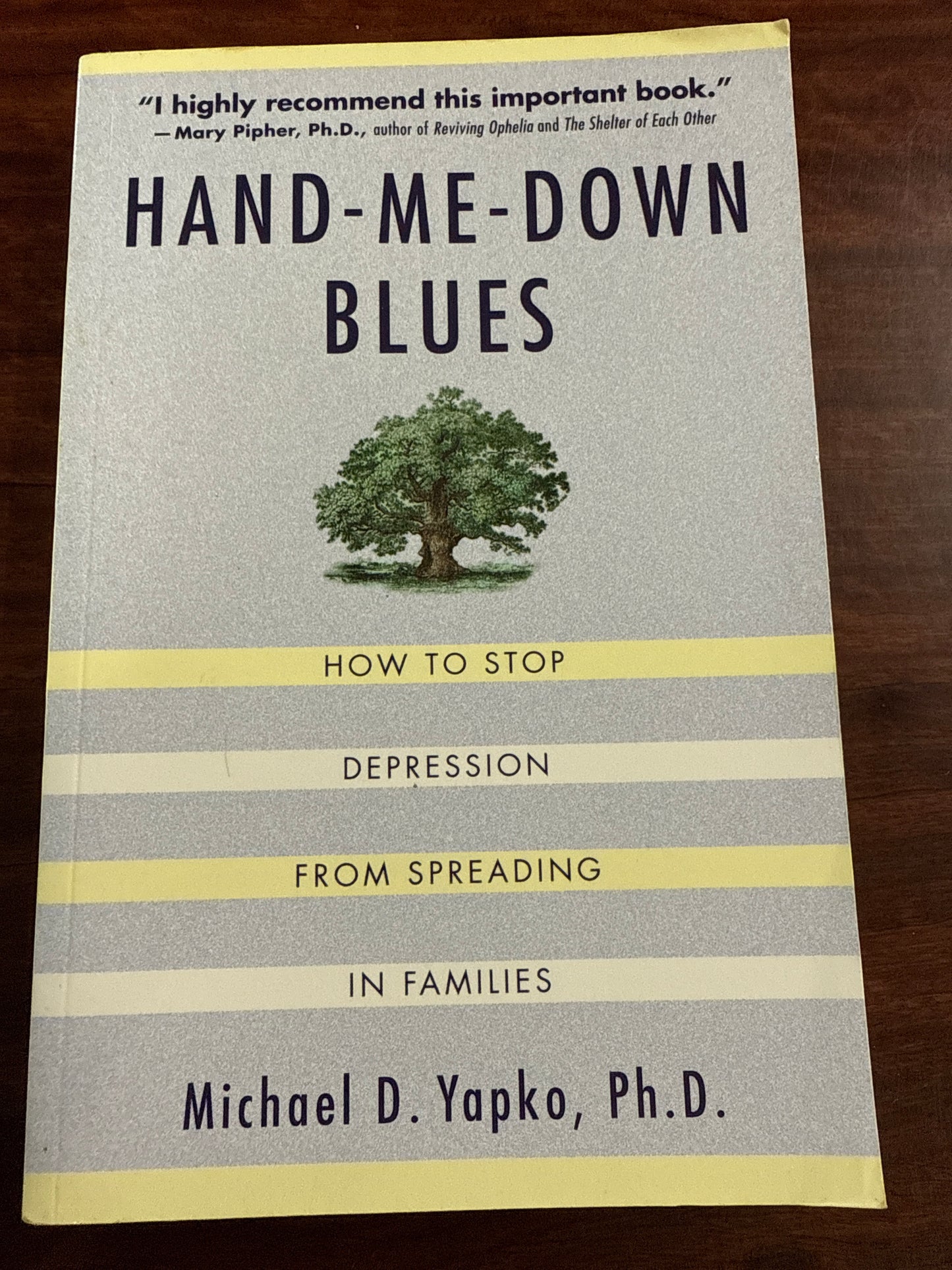 Michael Yapko Hand-Me-Down Blues cover