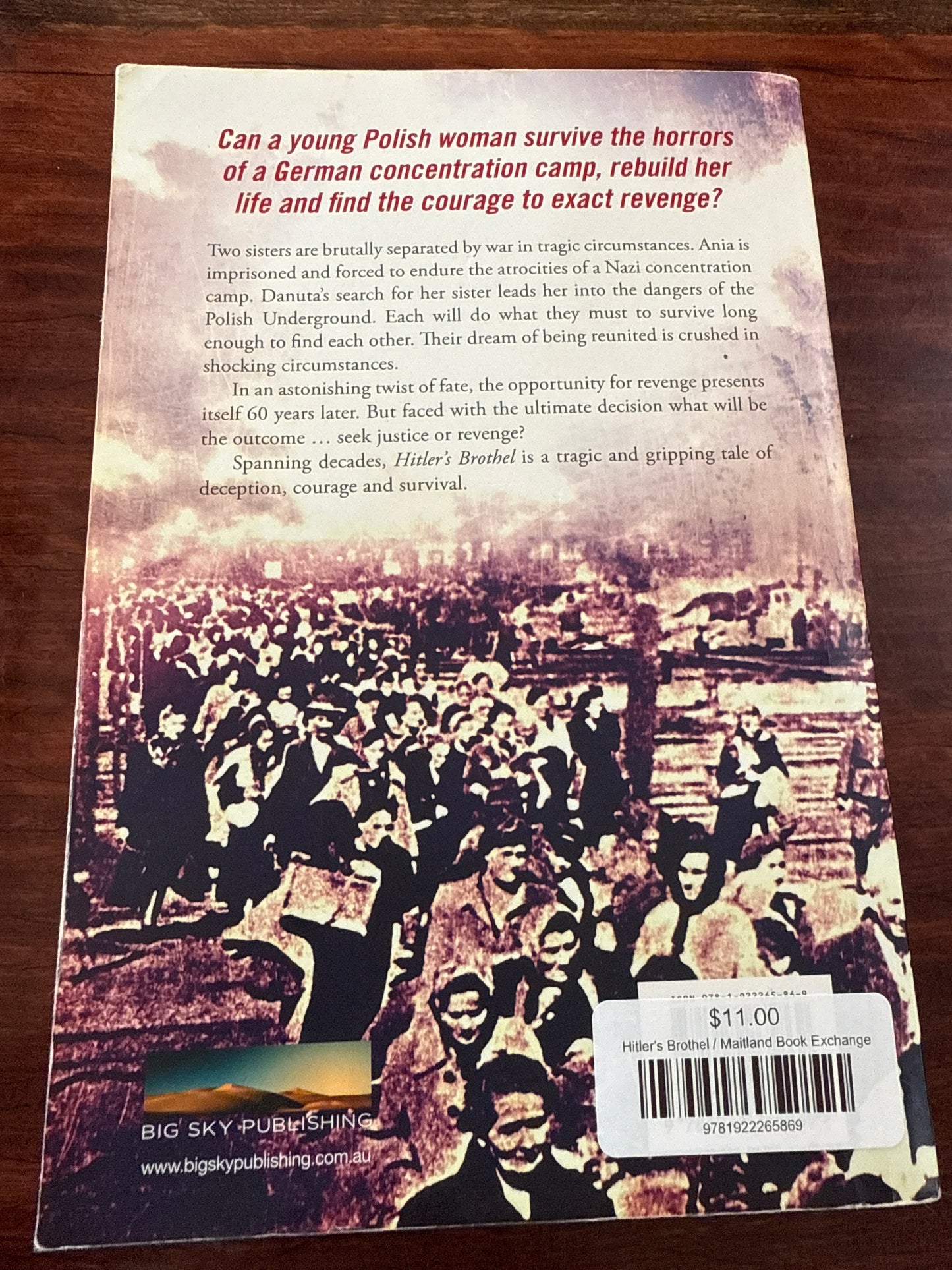 Steve Matthews Hitler's Brothel back cover