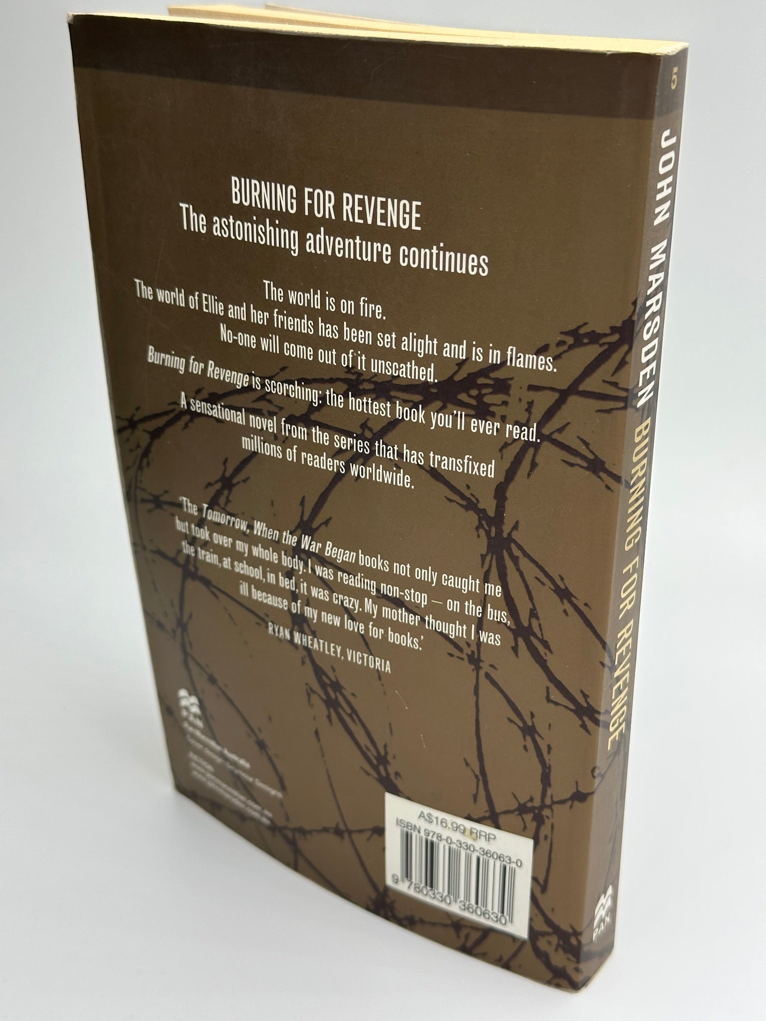 Burning for Revenge (Book 5)