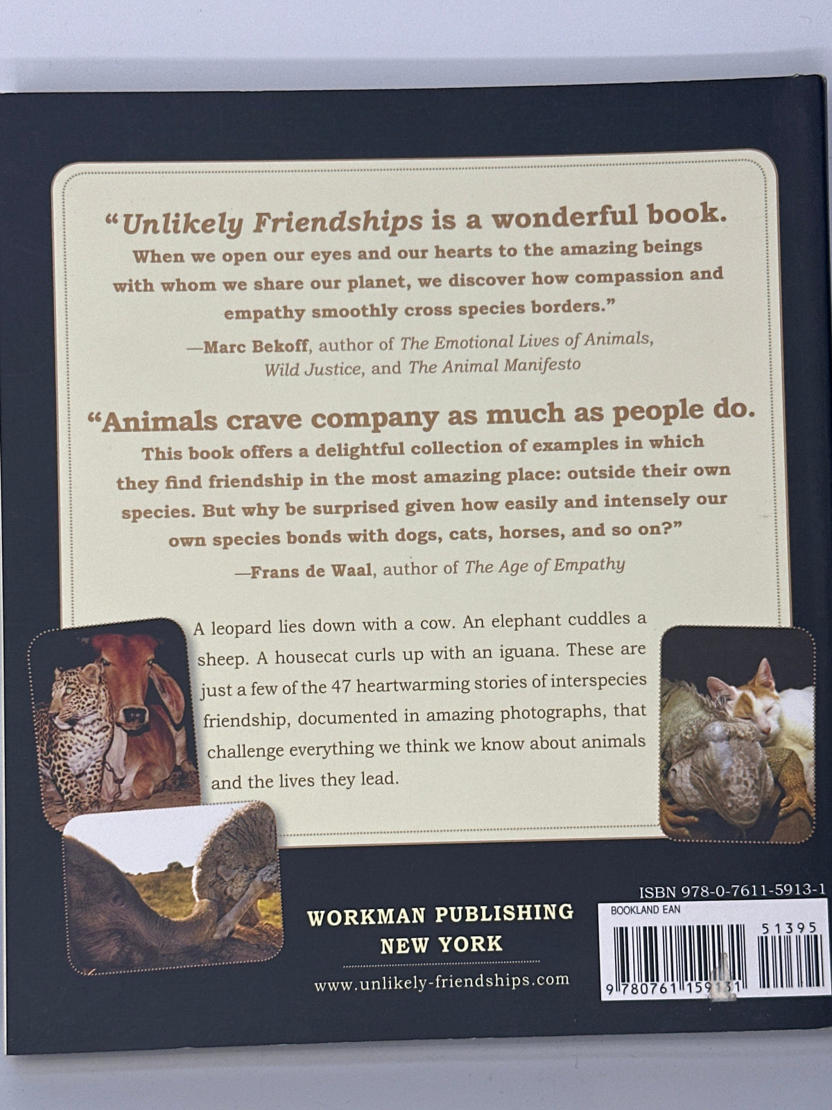 Jennifer S Holland Unlikely Friendships: 47 Remarkable Stories from the Animal Kingdom actual back cover used books