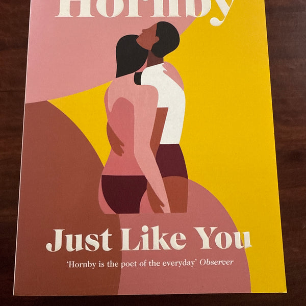 Nick Hornby Just Like You cover