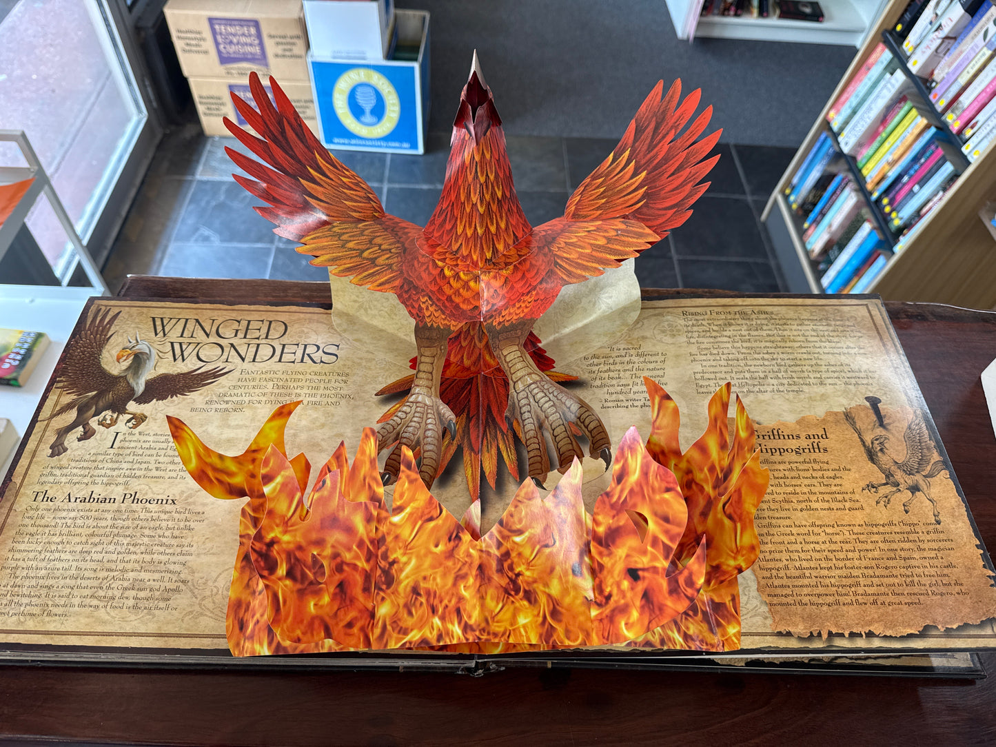 Pop-up book Mythical_Creatures with a phoenix design on a table