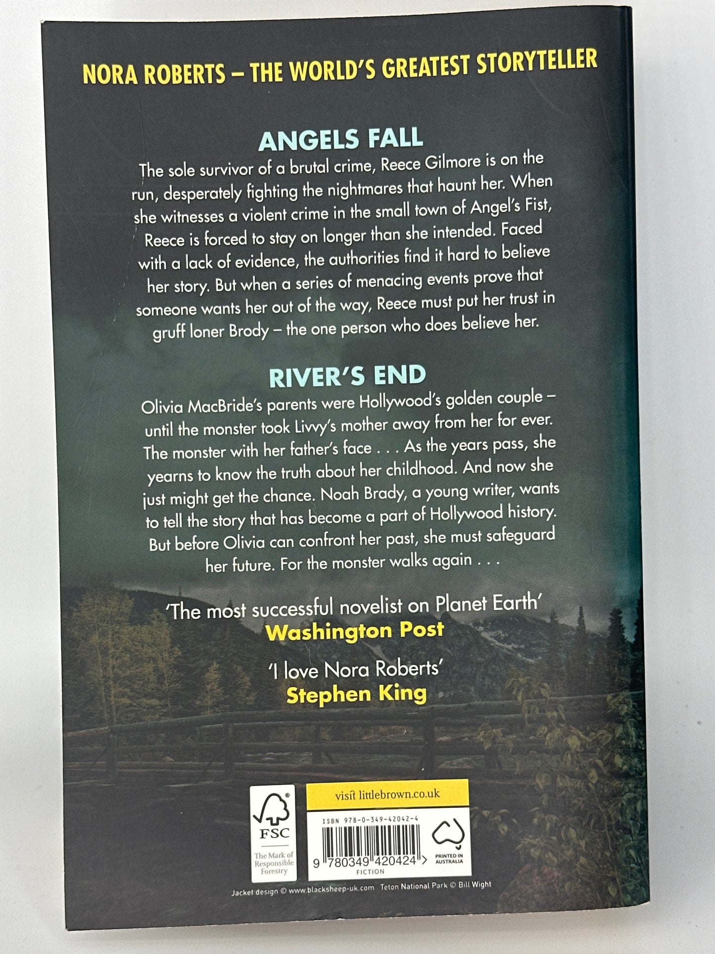 Nora Roberts Angels Fall and River's End actual back cover used books