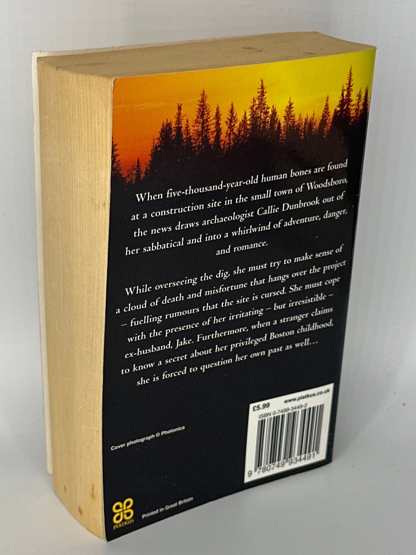 Nora Roberts Birthright actual back cover used books