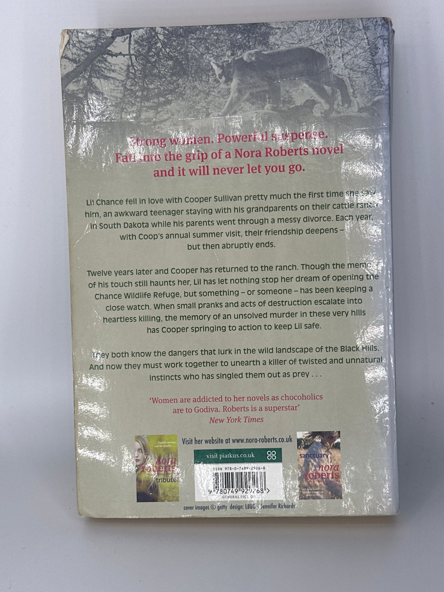 Nora Roberts Black Hills actual back cover used books